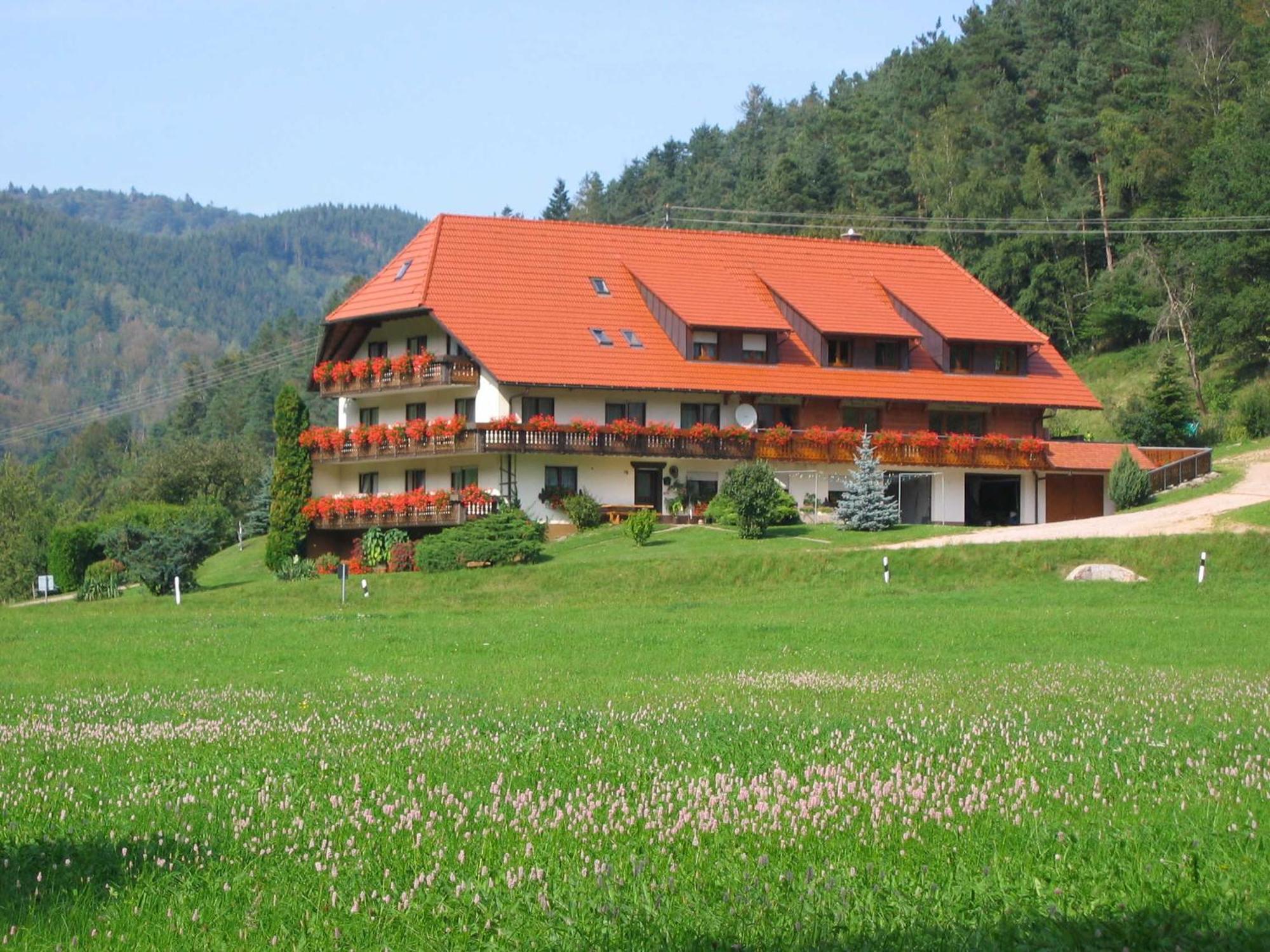 Homestay Mosertonihof Elzach