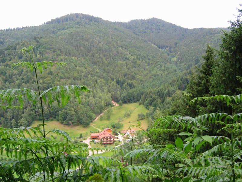 Homestay Mosertonihof