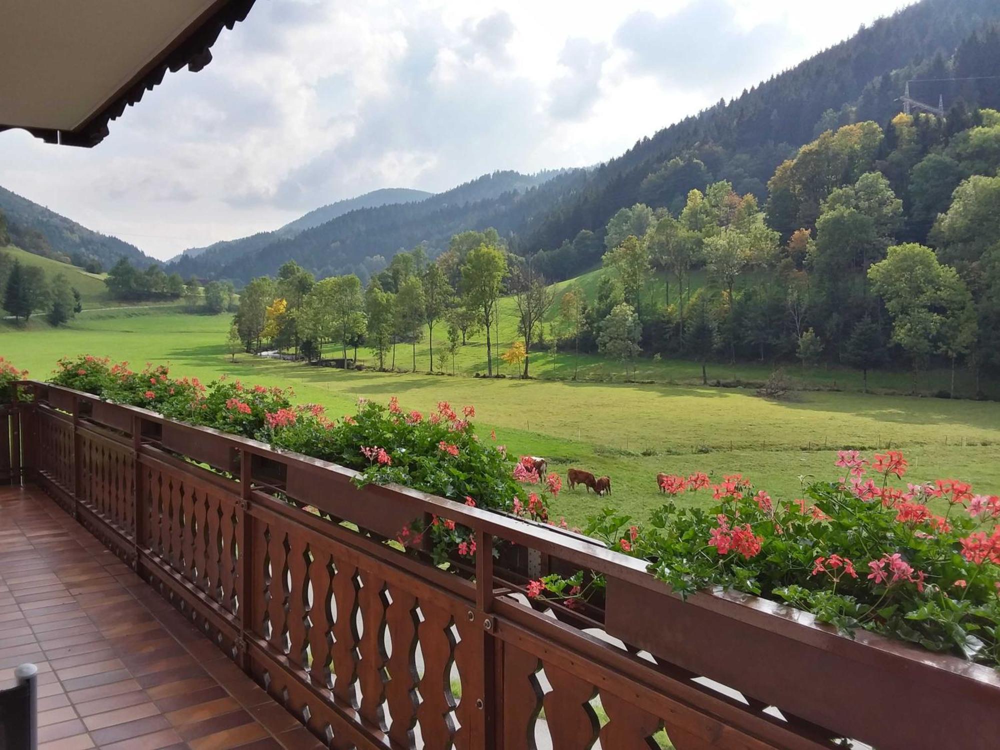 Homestay Mosertonihof Elzach